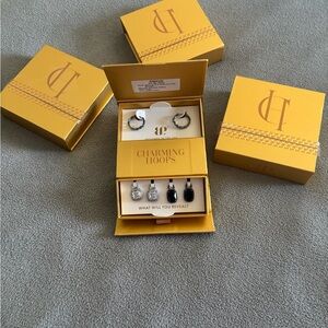 Charming Hoops Silver and Black Earring Set